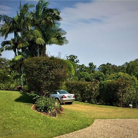 River Gum Luxury Bed And Breakfast Diddillibah Exterior photo